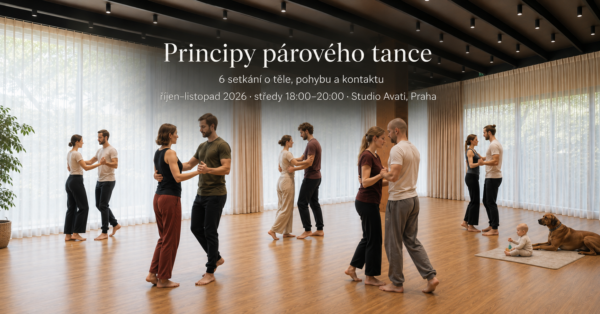Principy párového tance Jakub Jekl a Lucia Jekl Kubášová Principy párového tance Jakub Jekl a Lucia Jekl Kubášová